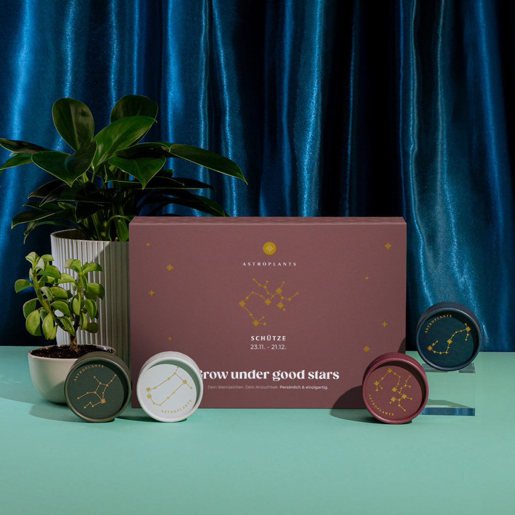 Astroplants Geschenkbox