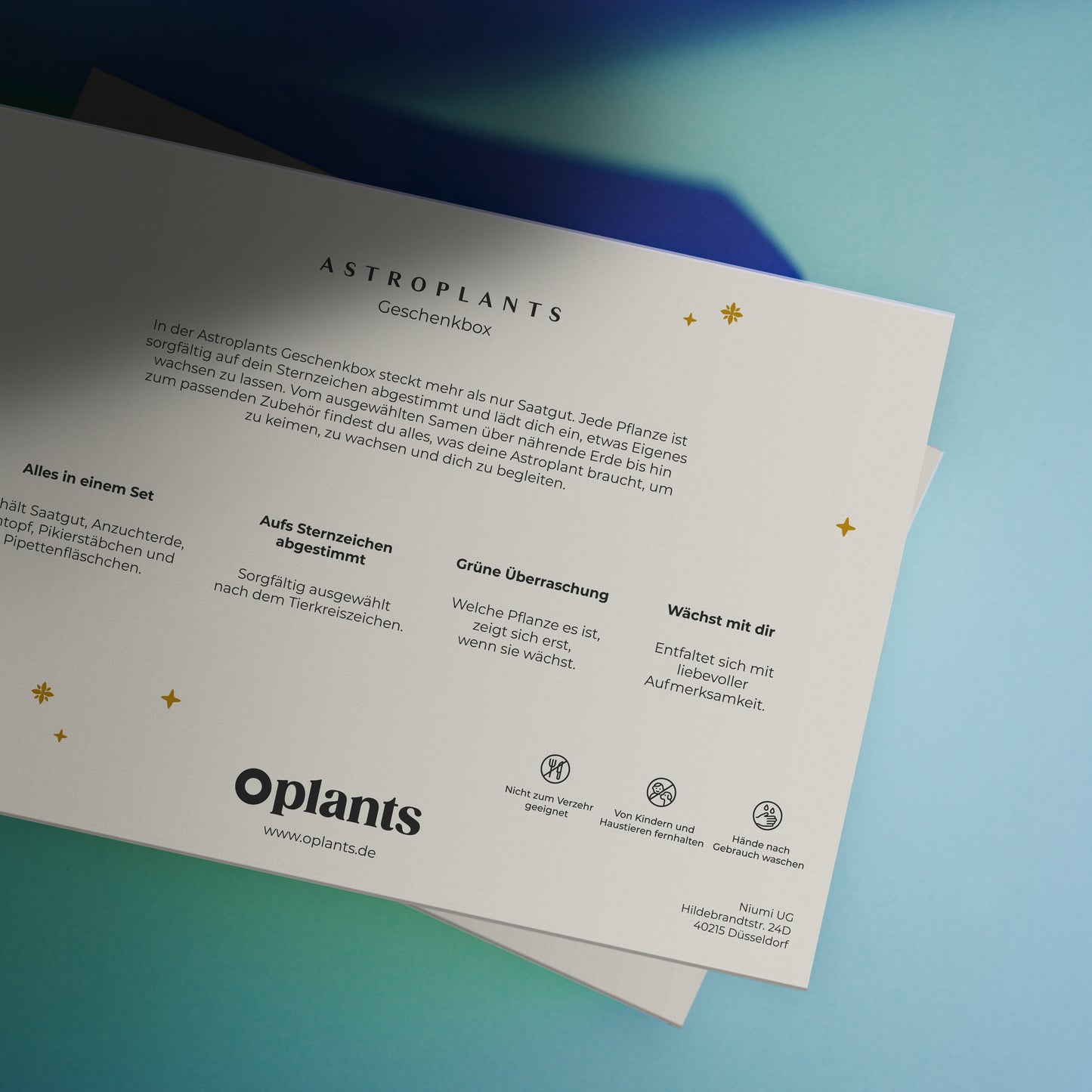 Astroplants Geschenkbox