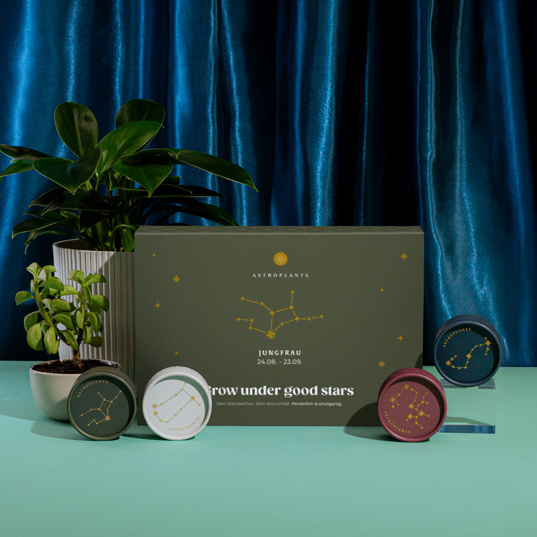Astroplants Geschenkbox