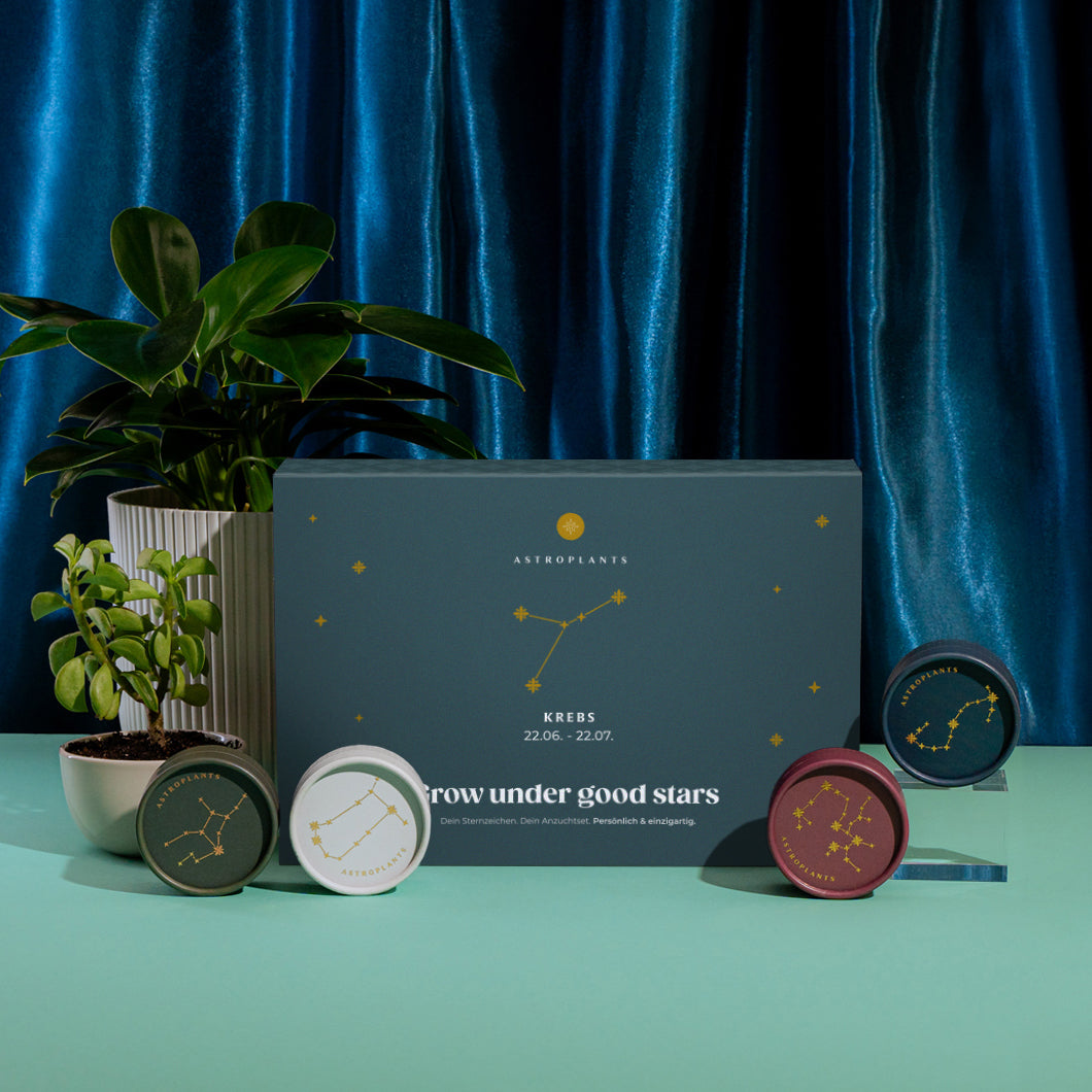 Astroplants Geschenkbox