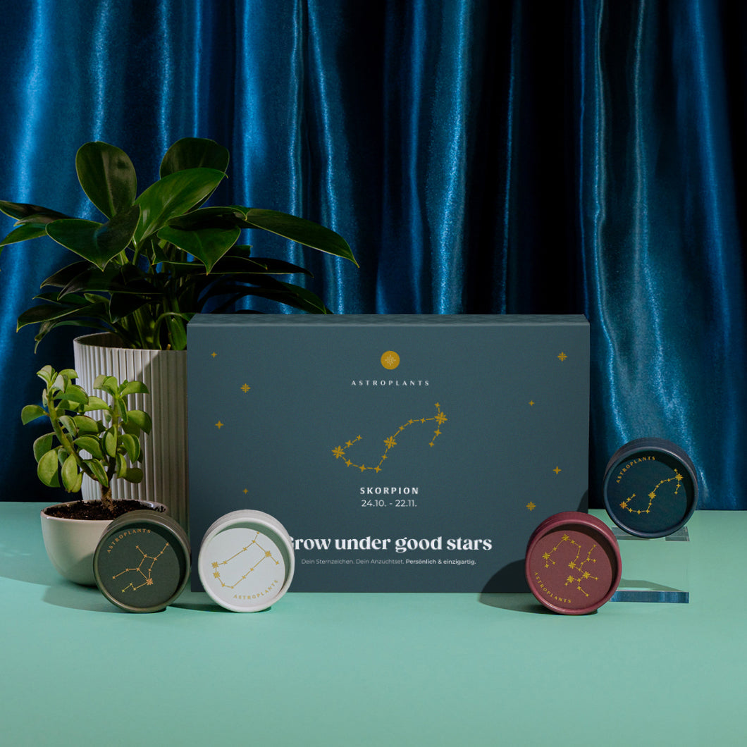 Astroplants Geschenkbox