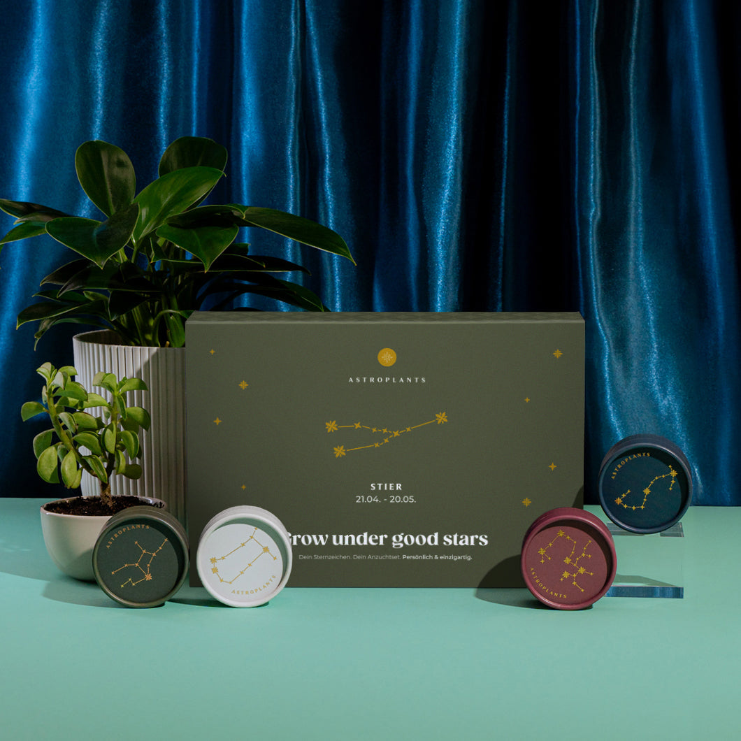 Astroplants Geschenkbox