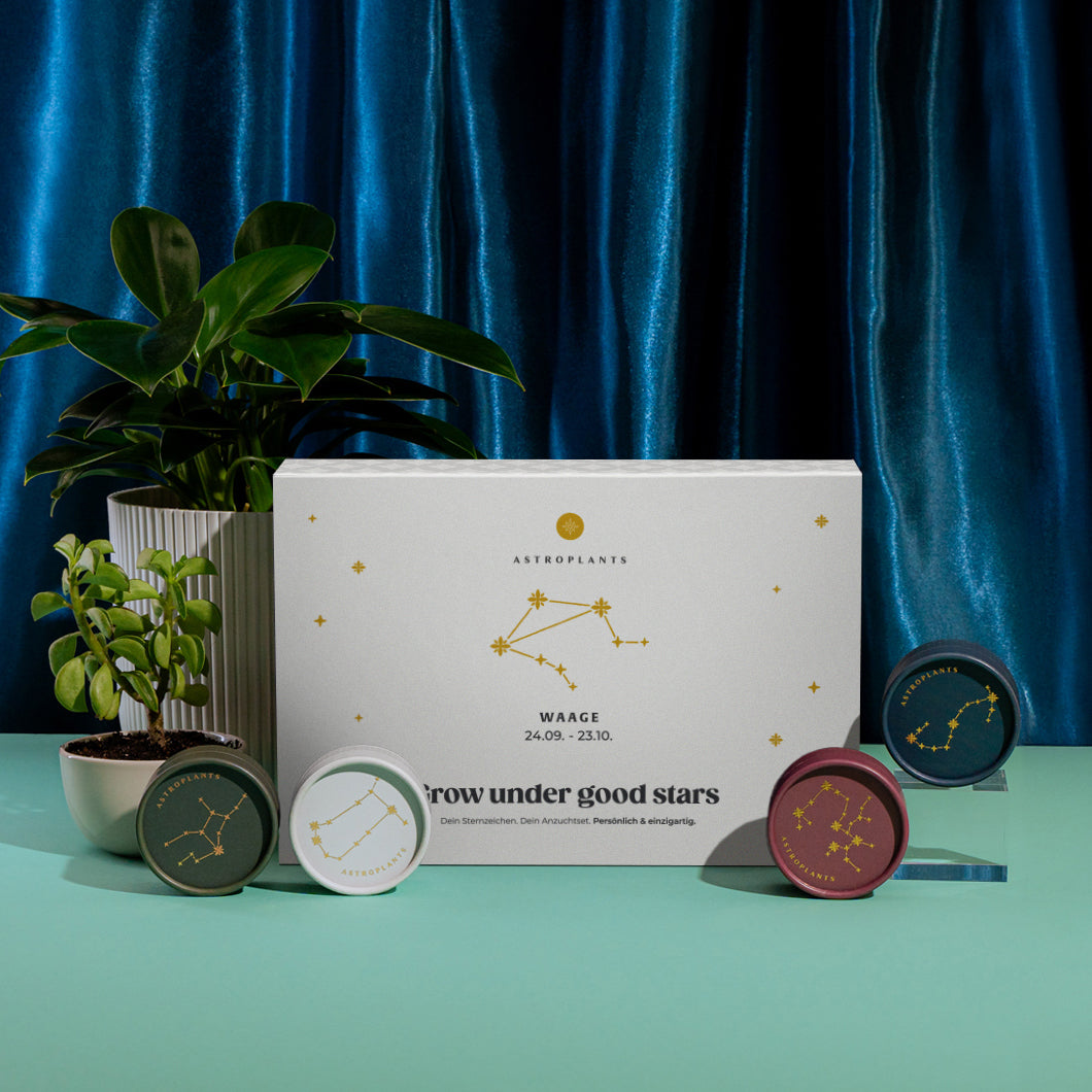 Astroplants Geschenkbox