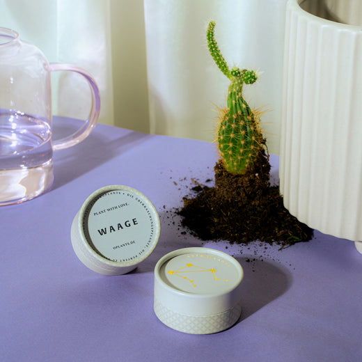 Astroplant Waage