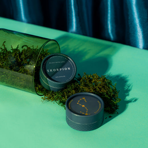 Astroplant Skorpion