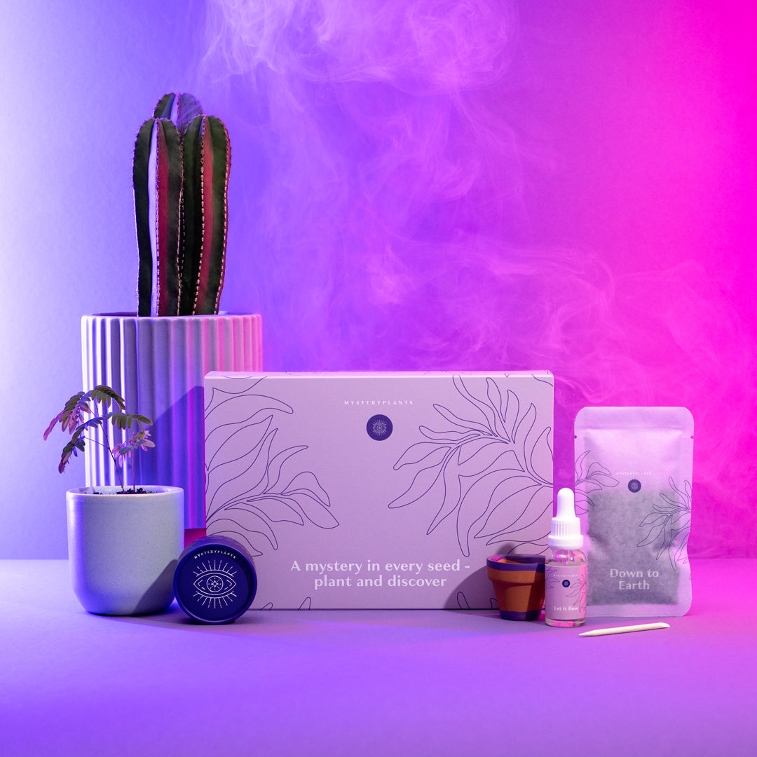 Mysteryplants Geschenkbox