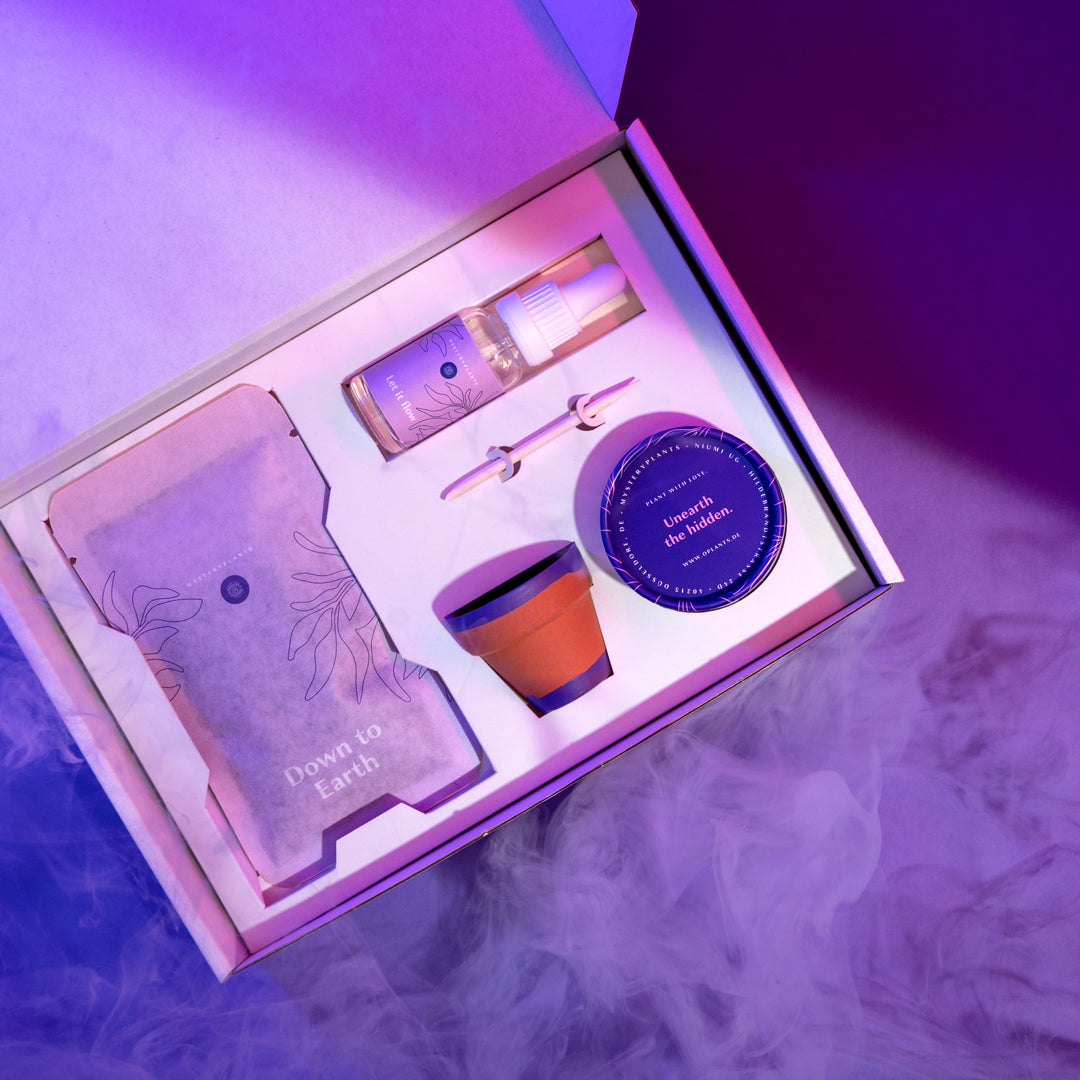 Mysteryplants Geschenkbox