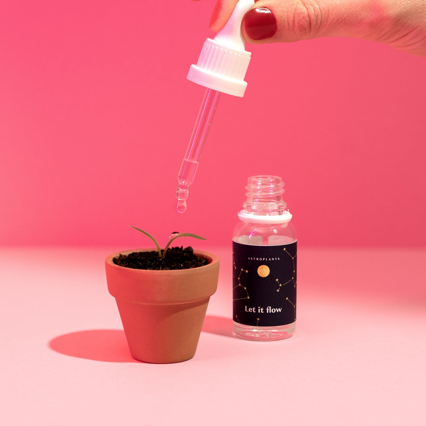 Astroplants Geschenkbox - Love Edition