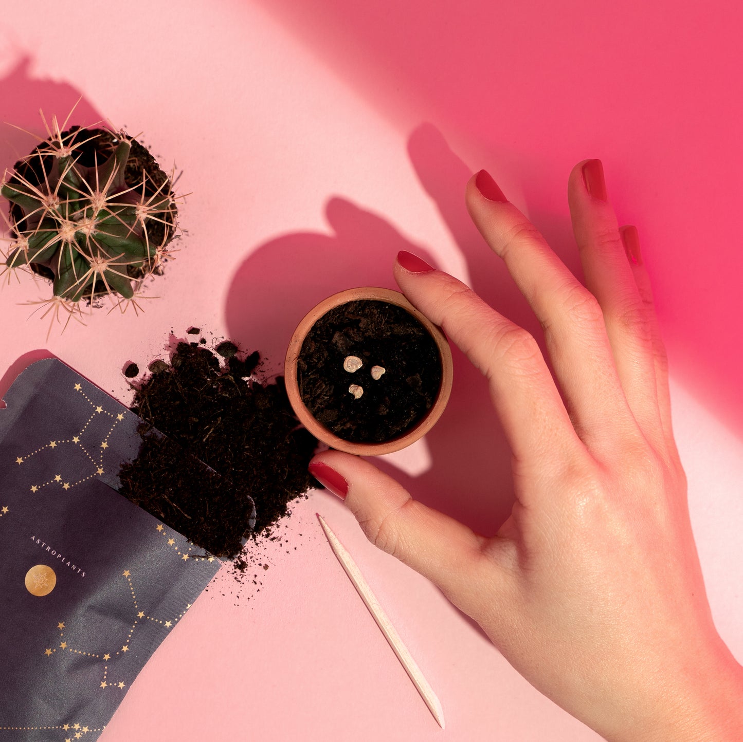 Astroplants Geschenkbox - Love Edition